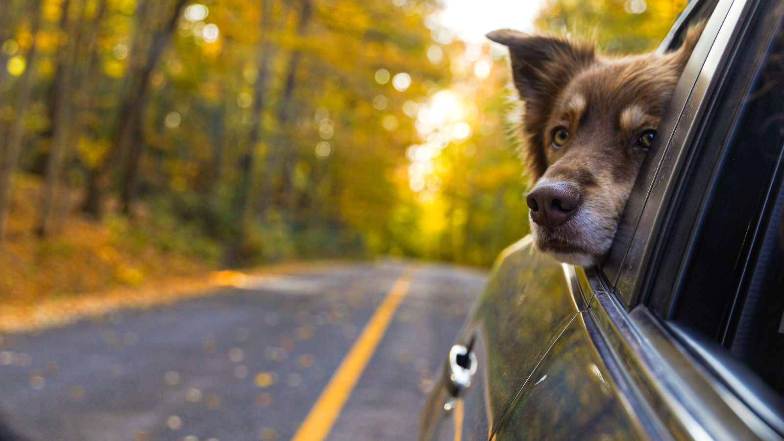 Outdoor Adventures & Scenic Escapes